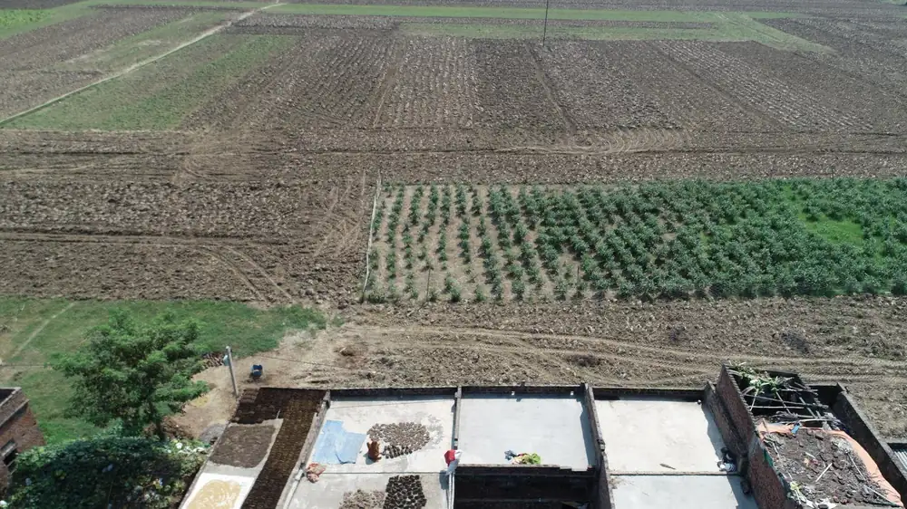 Standard RGB drone photograph of fields, an orchard block and farm buildings